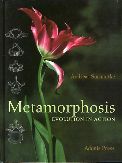 Metamorphosis by Andreas Suchantke Hardback Book