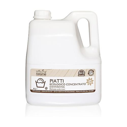 Solara Dishes concentrated 4 L