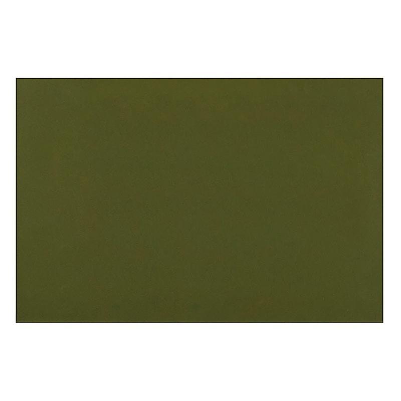 Magnetic Field Viewing Film 12X8 Inch, Magnetic Flux Display, Magnet Pattern Detector, Reusable and
