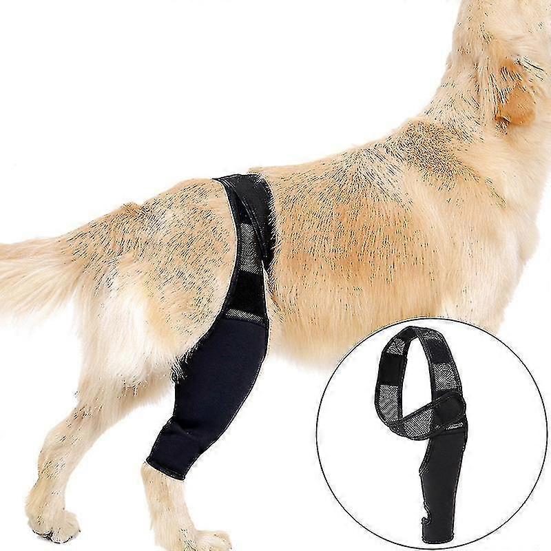 Orthèse de genou pour chien pour le LCA, la luxation de la rotule, l’arthrite - Garde l’articulation au chaud - Soutien supplémentaire - Réduit la douleur et l’inflammation -T