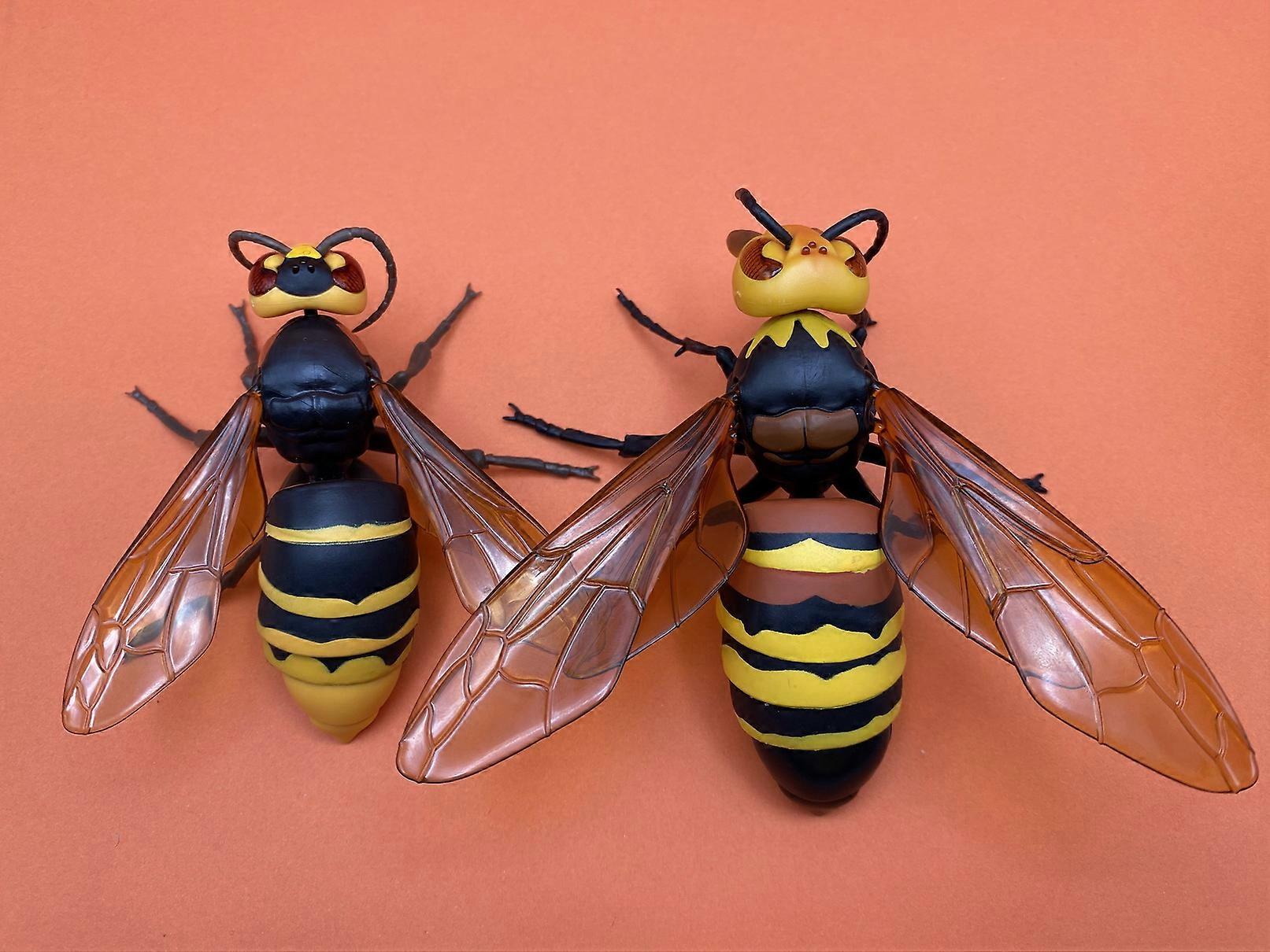 Pre-sell Bandai Japanese Gashapon Egg Big Biological Map Of Hornet ...