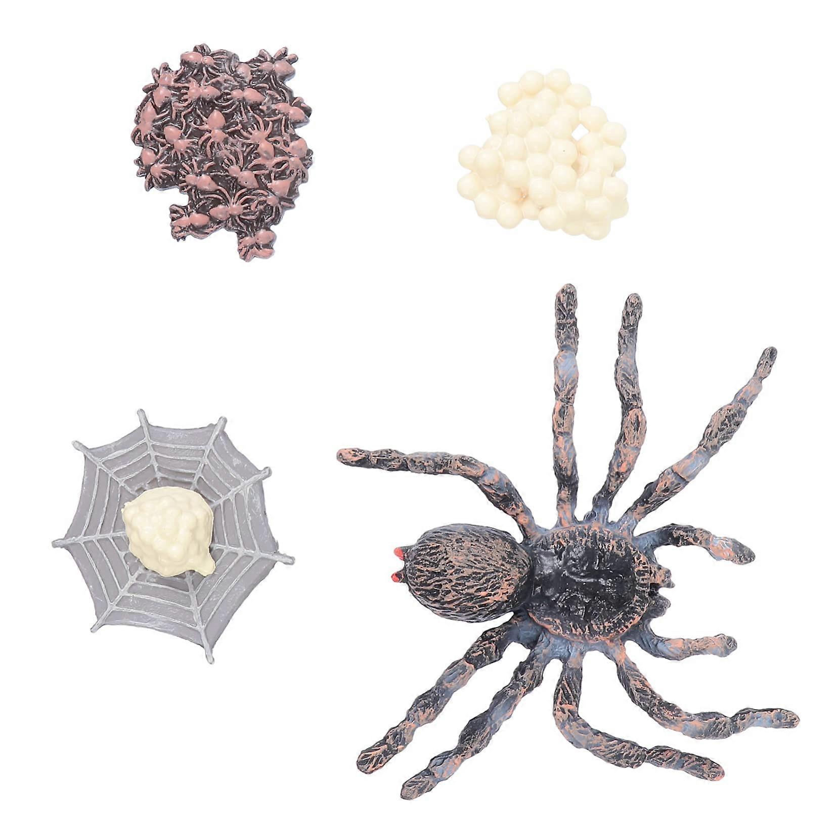 1 Set Animal Figure Set Educational Toy for Simulation of the Life Cycle of Animals for Garden Decoration and Creative Photo Props Spider Model