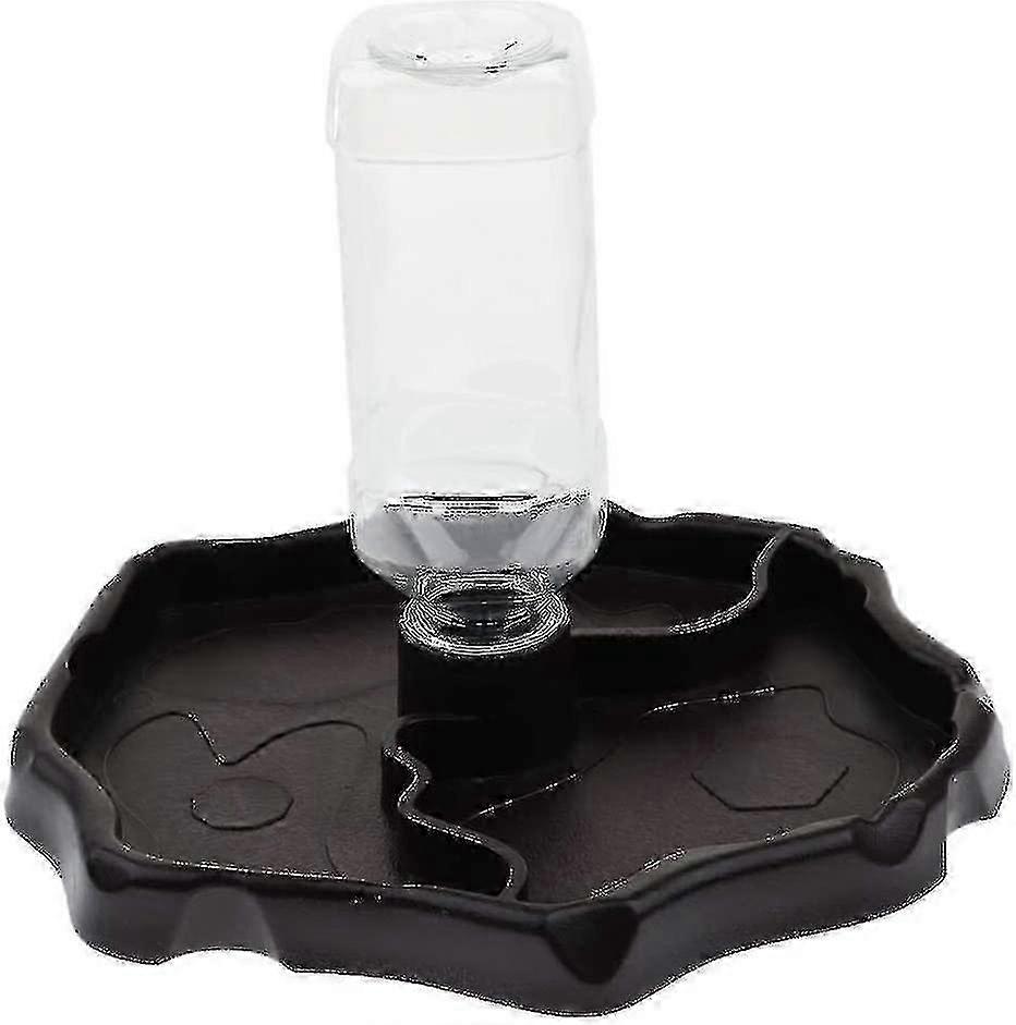 Portable Water Dispenser with Plastic Dish Drinker for Reptiles and Tortoises