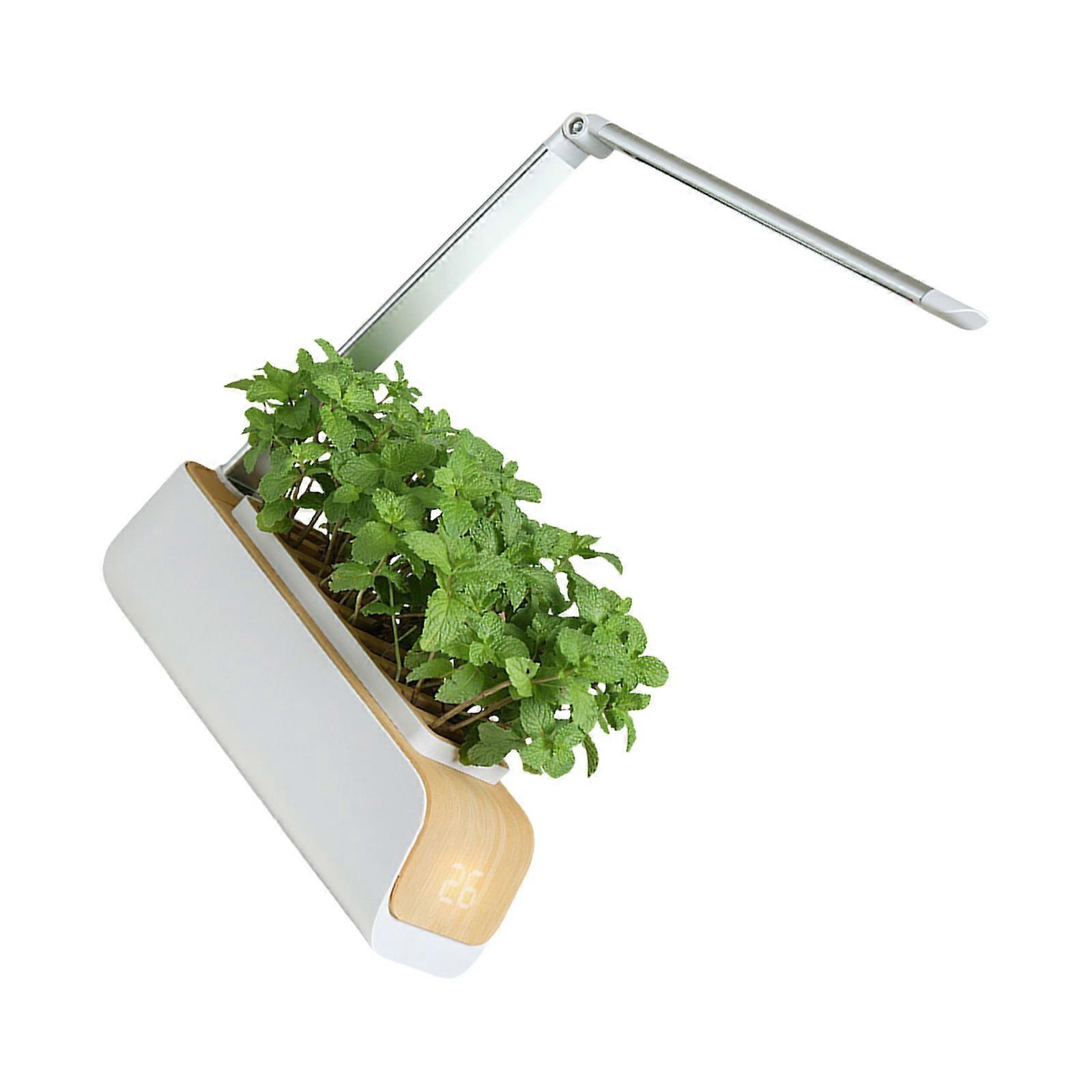 Automated Plant Growing Set With Full Spectrum Lighting And Height Adjustable Lamp For Vegetables Herbs Home Gardening Multicolor