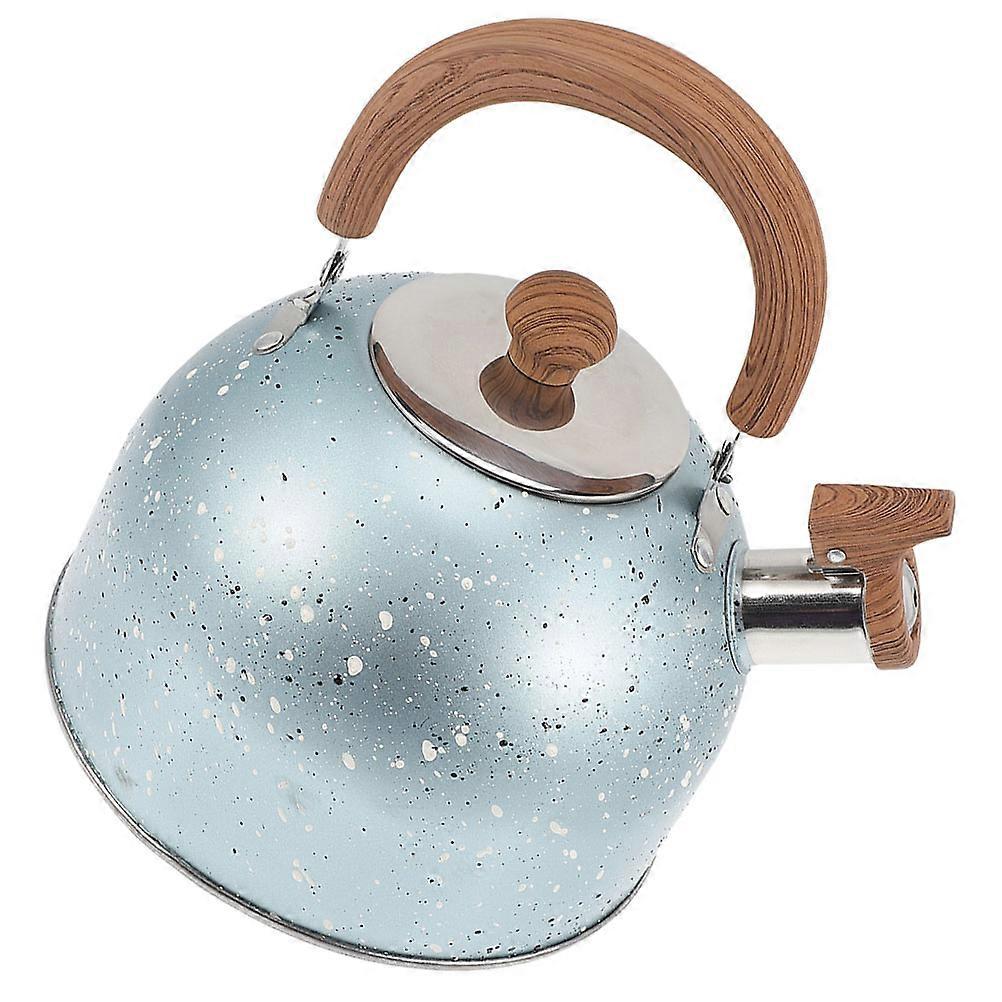 Kettle With Whistle Tea Kettle Stovetop Kettles Flat Bottom Simple Indoor Use 1Set