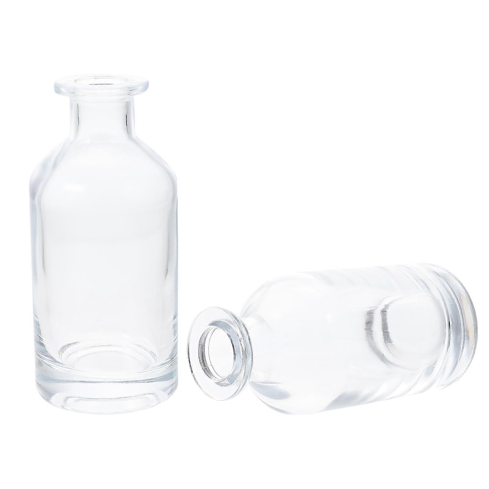 Creative Glass Vases for Home Use with 2Pcs Decorative Flower Bottles