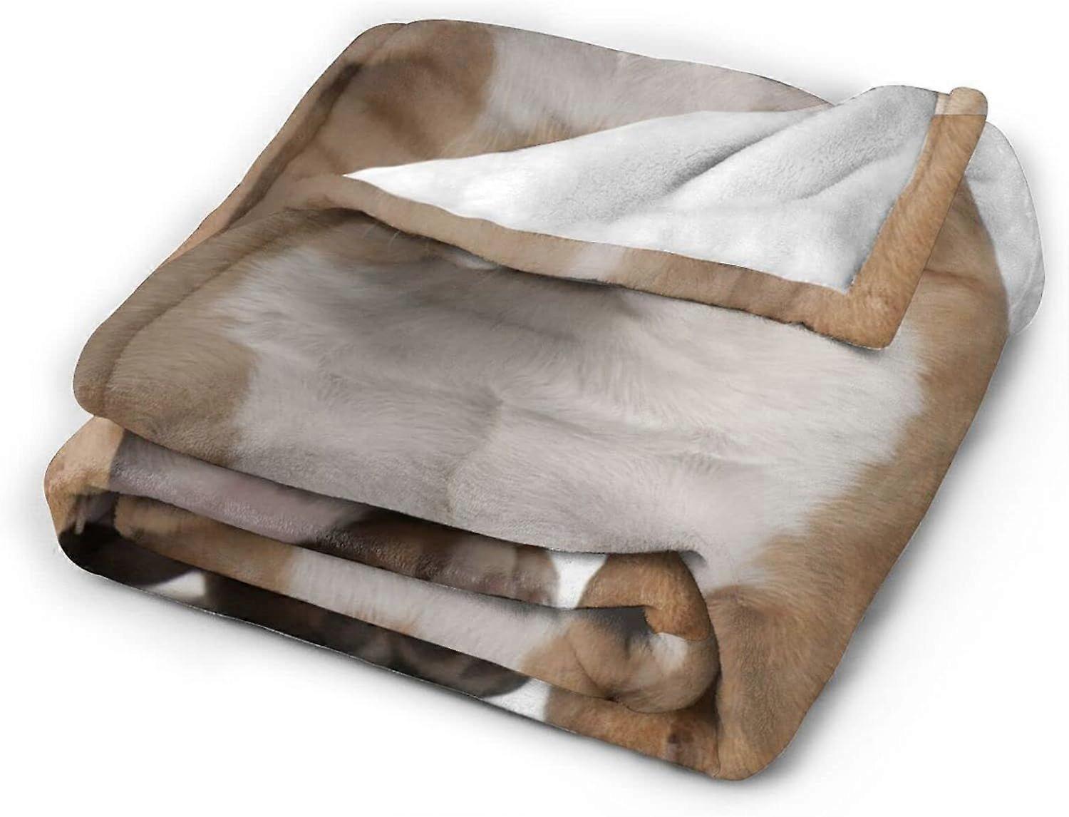 English Bulldog Flannel Throw Blanket Lightweight Soft Cozy Washable for Sofa Couch Bed