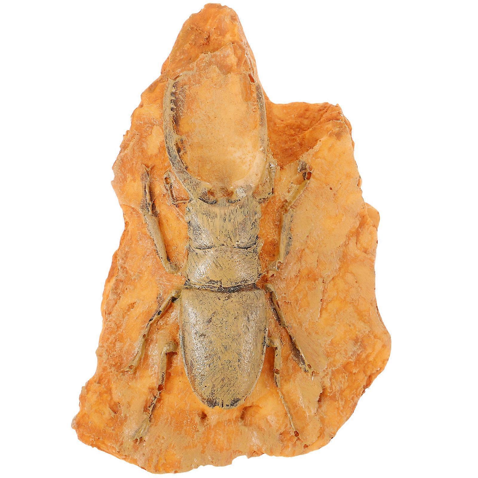 Paleontological Insect Specimen for Teaching with Resin Material and Orange Color Small Size