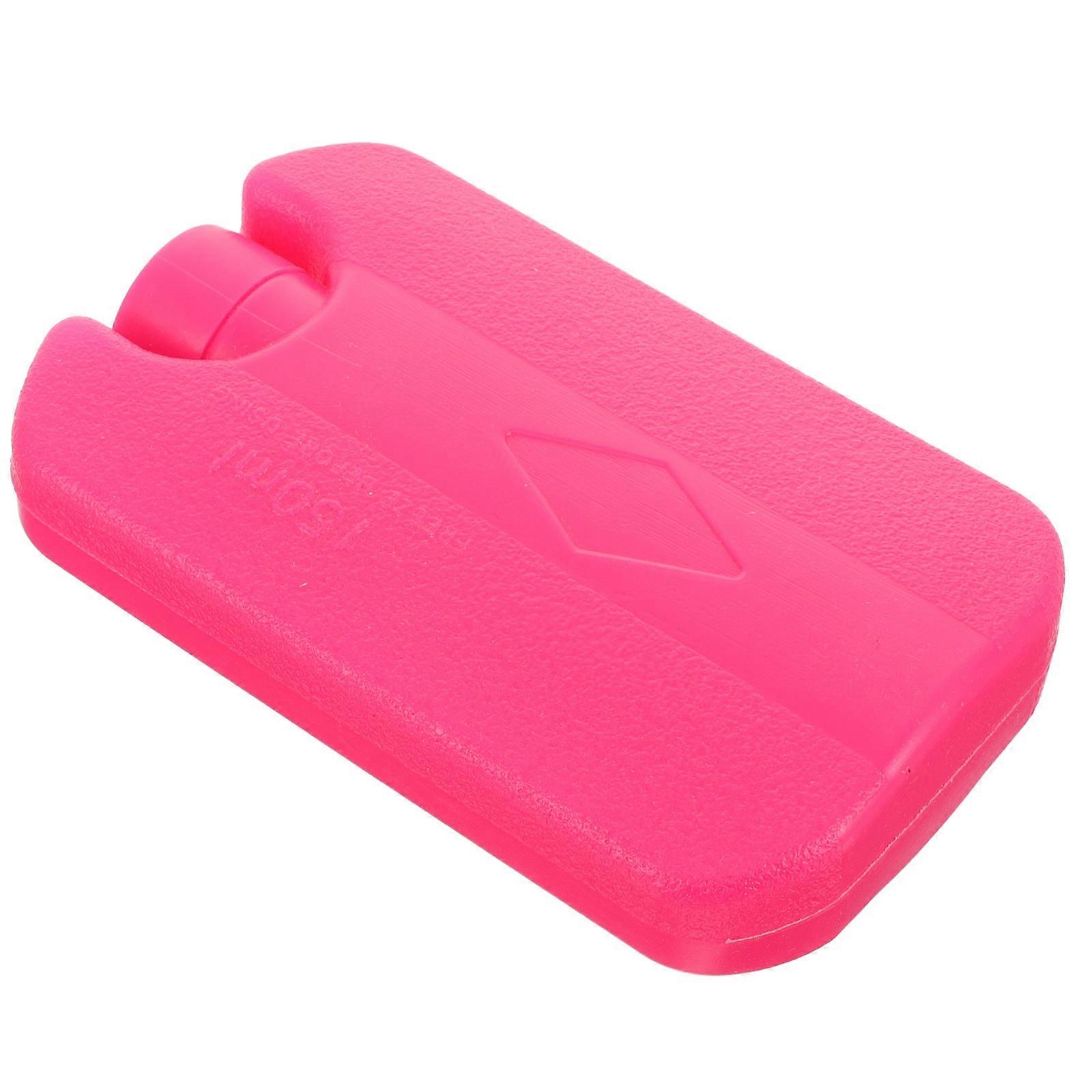 Reusable Ice Pack for Pets & Food Preservation | Leak Proof, Lightweight Cooling Storage Box for Summer Travel & Transport