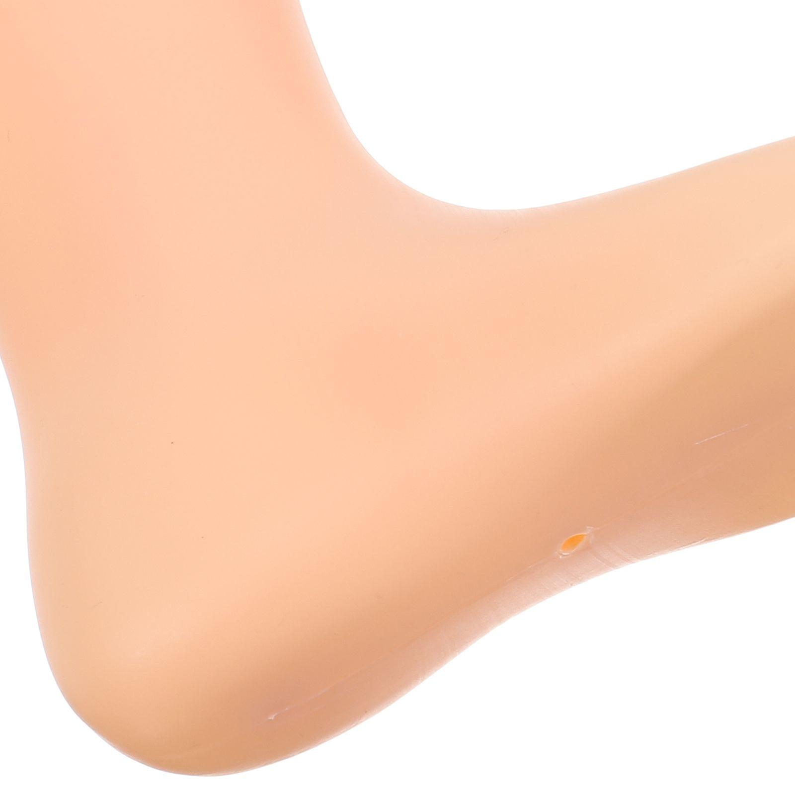 4 件展示人体模型脚幼儿足部人体模型可重复使用的足部模型商店供应