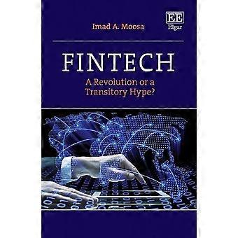 Fintech A Revolution or a Transitory Hype?