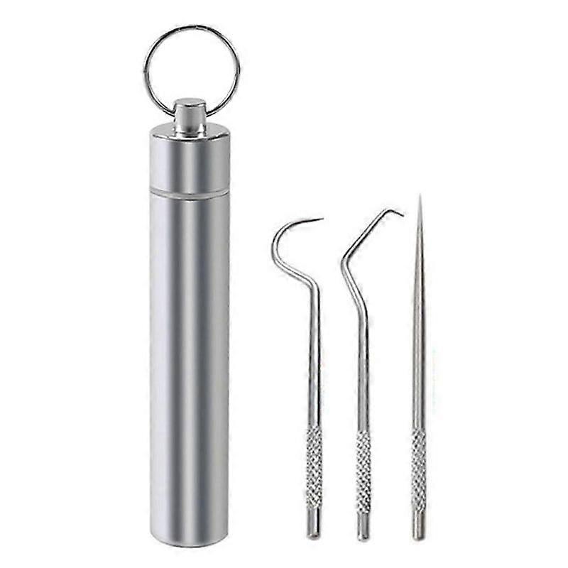 Stainless Steel Toothpicks Set 7PCS Reusable Travel Camping