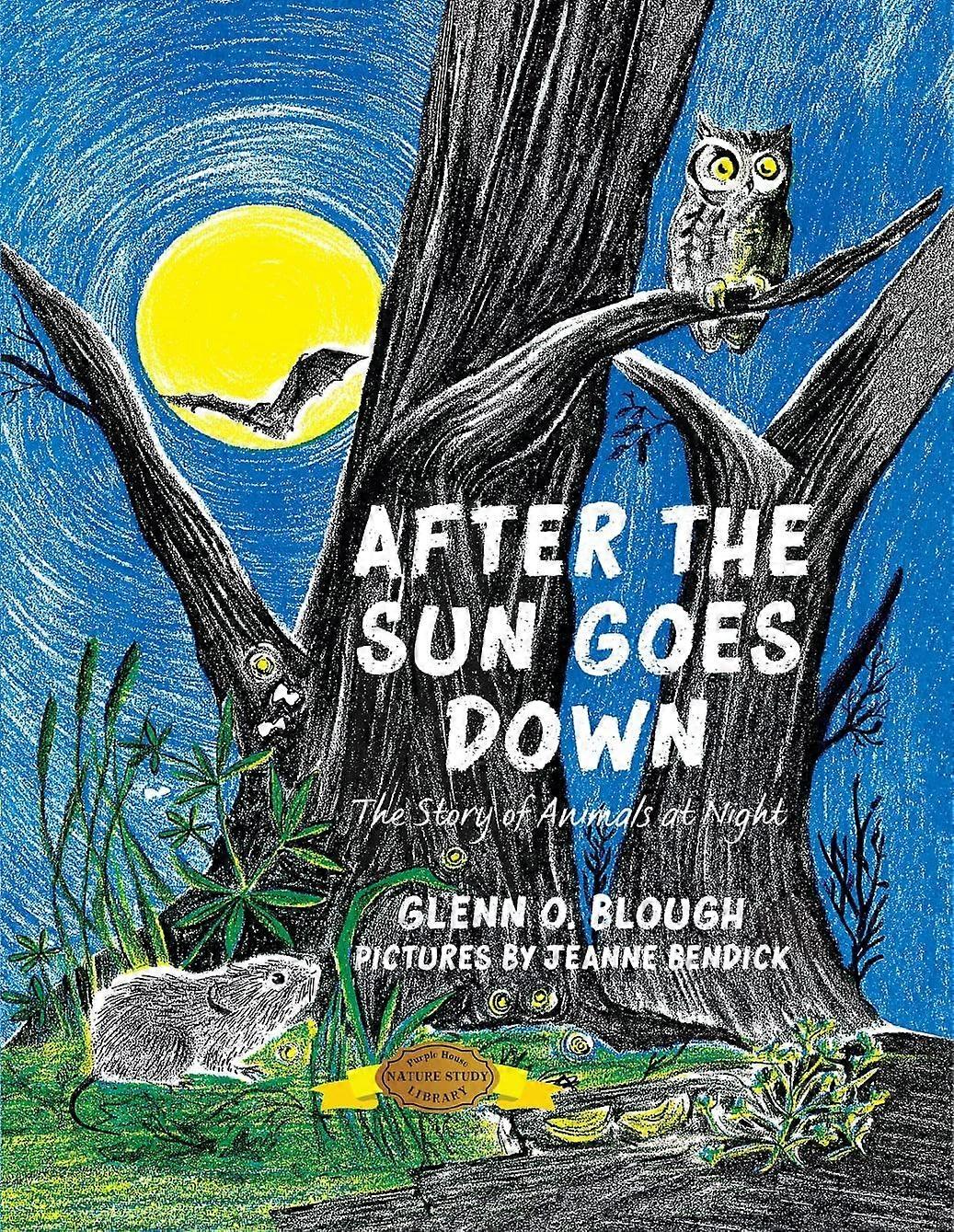 After the sun goes down