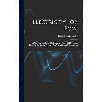Electricity for boys a working guide, in the successive steps of electricity, described in simple terms, with many original illustrations