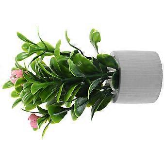 Miniature Potted Plants Doll House Bonsai for Decoration 2Pcs Model