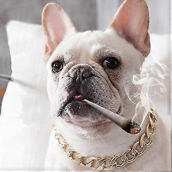 XYCY-Pet Necklace, Linked Coarse Gold Chain Pet Safety Collar, Gold 55cm