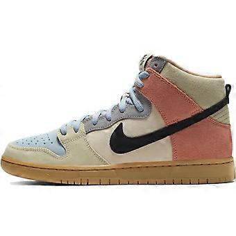 Nike SB Dunk High Pro 'Spectrum' CN8345-001