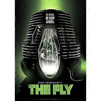 The Fly Memory Puzzle 34