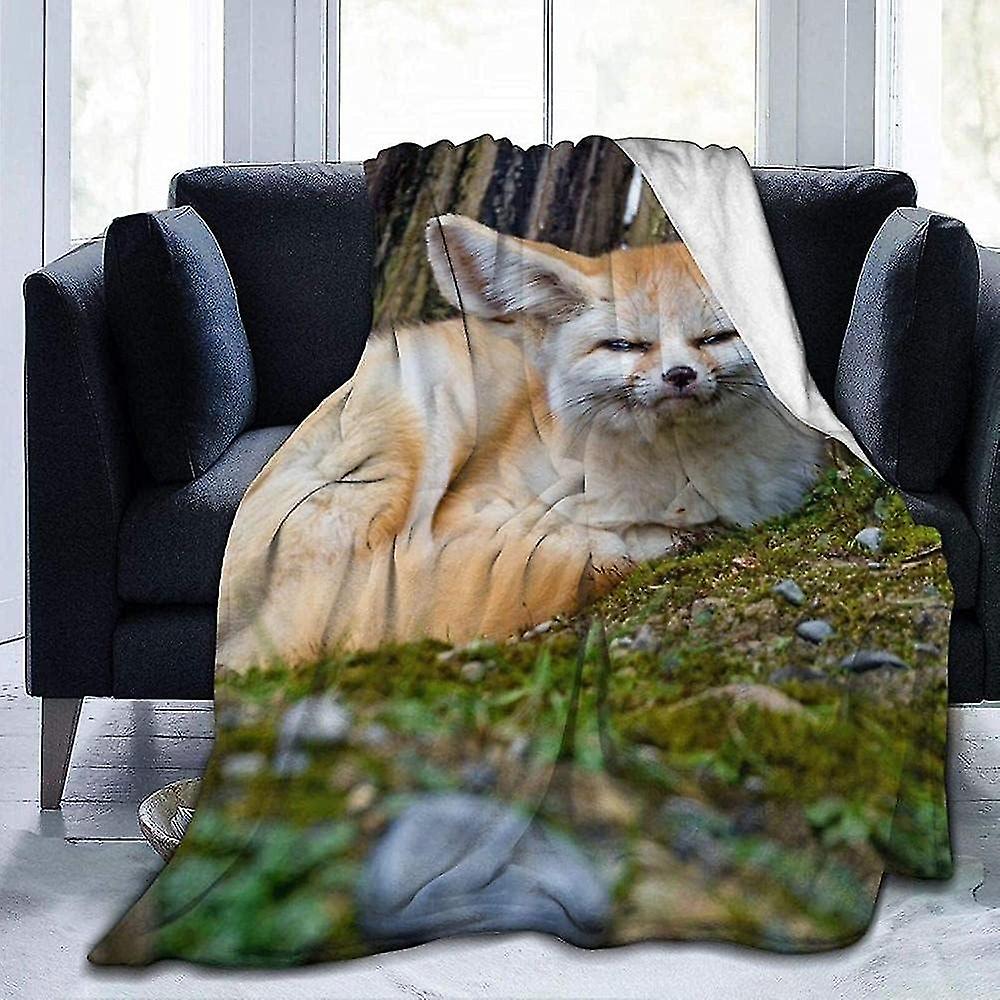 Throws For Sofa Bed Blanket Fenech Fenech Ears Muzzle Look Angry Displeased Pose Behind Super Soft Fluffy Warm Solid Bed Throws For Sofa Microfiber Bl
