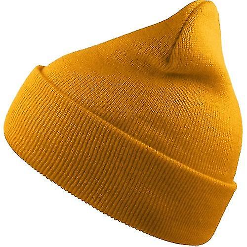 Atlantis Unisex Adult Wind Recycled Cuffed Beanie