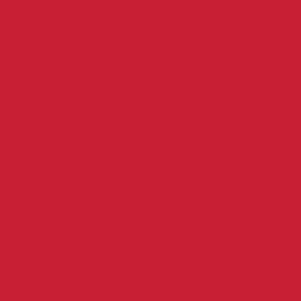 Bright red A4 Colour Office Printing Copy Preferred Paper