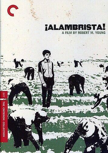 Criterion Collection Alambrista [DVD] [ DVD - Region 2