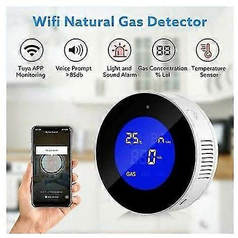 Gas alarm-European standard (remark export version when ordering)