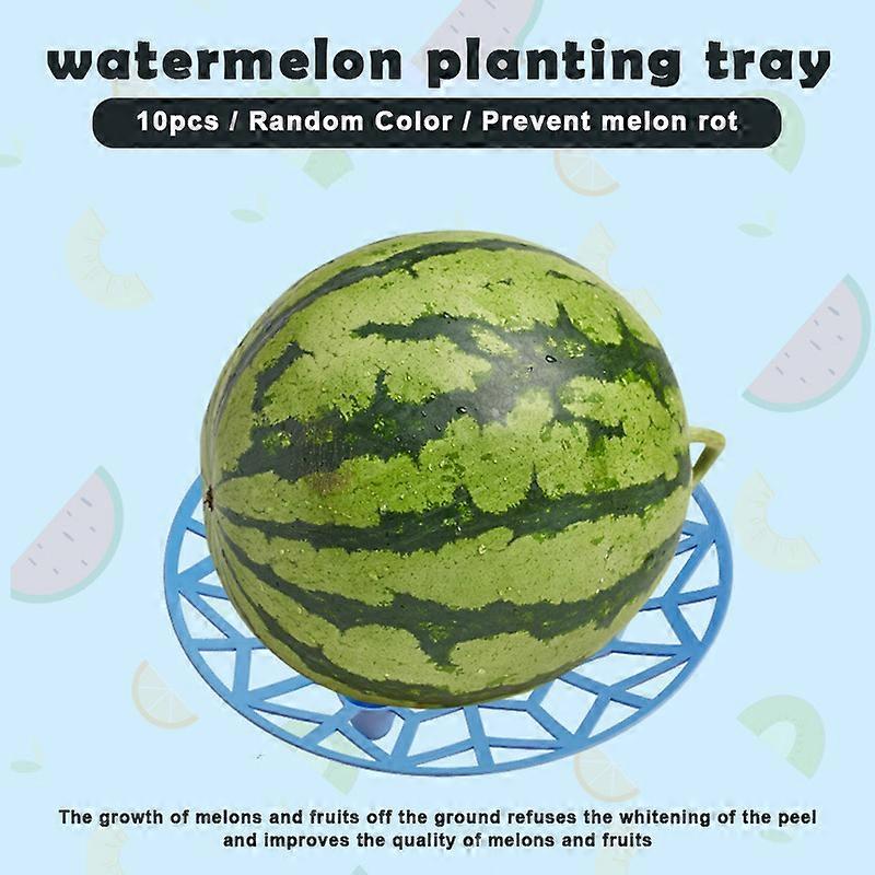 10 PCS Melon Squash Cradle Reusable Plant & Garden Support Rack Avoid Ground Rot Protects Large Cane Vine Fruit New