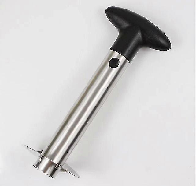 Pineapple Corer And Slicer Tool, Stainless Steel Pineapple Cutter Starlight
