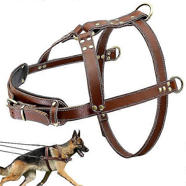 Genuine Leather Dog Harness For Walks Training Big Dog Pulling Harness Exercise