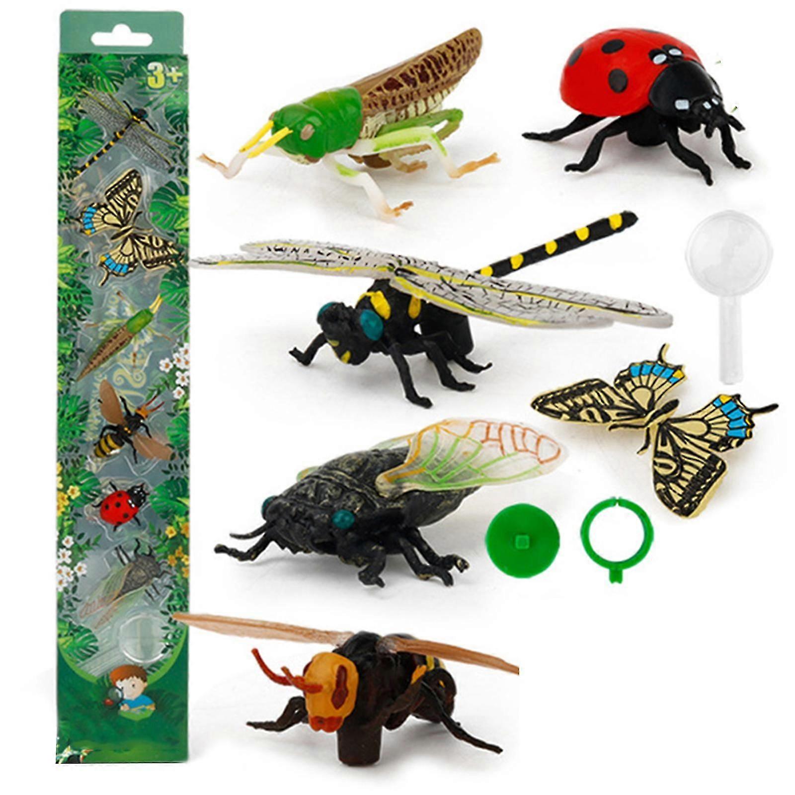 6pcs Plastic Insects Lady Bugs Butterfly Display Dragonfly Animals Model Early Educational Toy For Kids