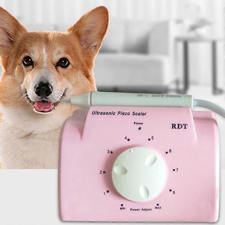 Machine à laver dentaire à ultrasons pour dents de chien de compagnie dissolvant de pierre prise UE