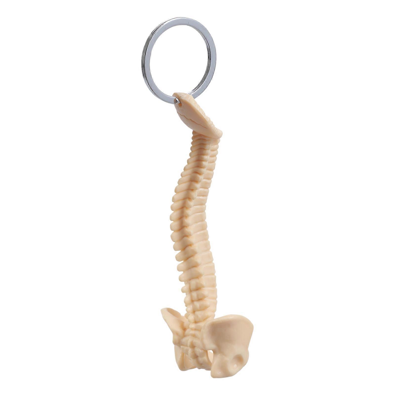 Portable Human Spine Pendant Keychain Educational Anatomical Model Keyring Practical Teaching Tool for Classroom Use Beige