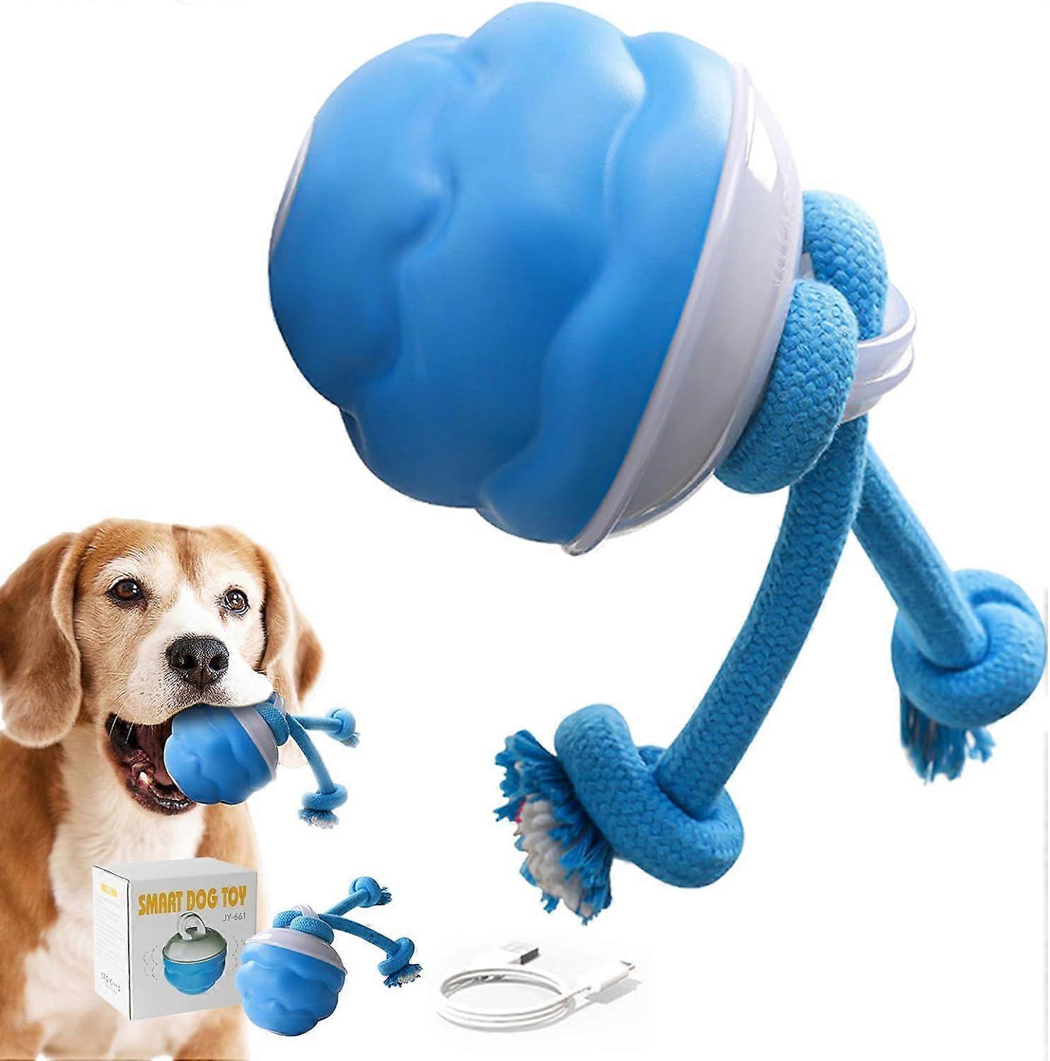 Power Tail 2.0 Interactive Dog Toys, Motion Activated Jumping Ball, Squeaky Dog Toy Active Rolling Ball Wicked Ball for Daily Training
