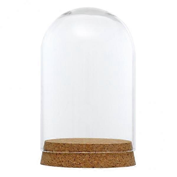 2 Cloche Bell Jar with for Office Table Decor DIY