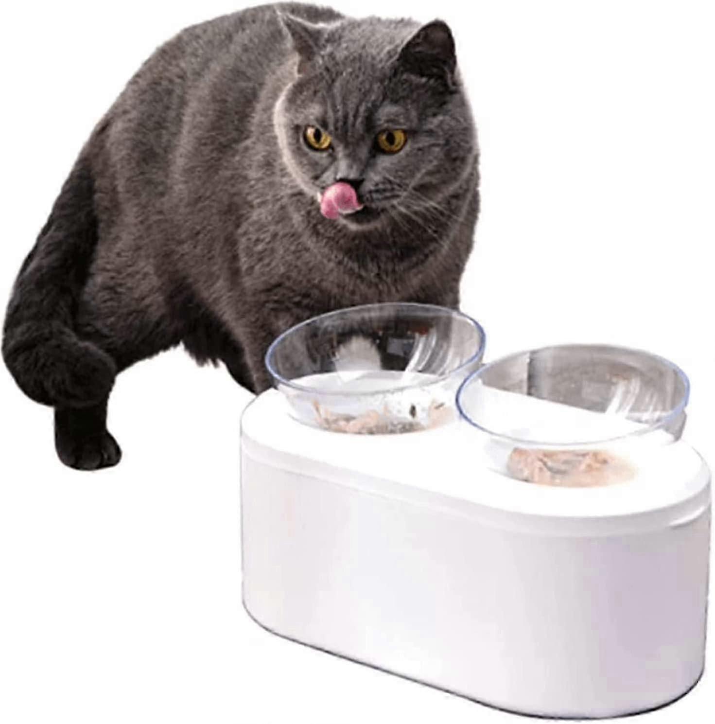 3 In 1 Raised Cat And Dog Bowl Bpa Free - Kibble Box Included - 15 Tilted Double Bowl-anti Vomiting-slow Feeding-non-slip