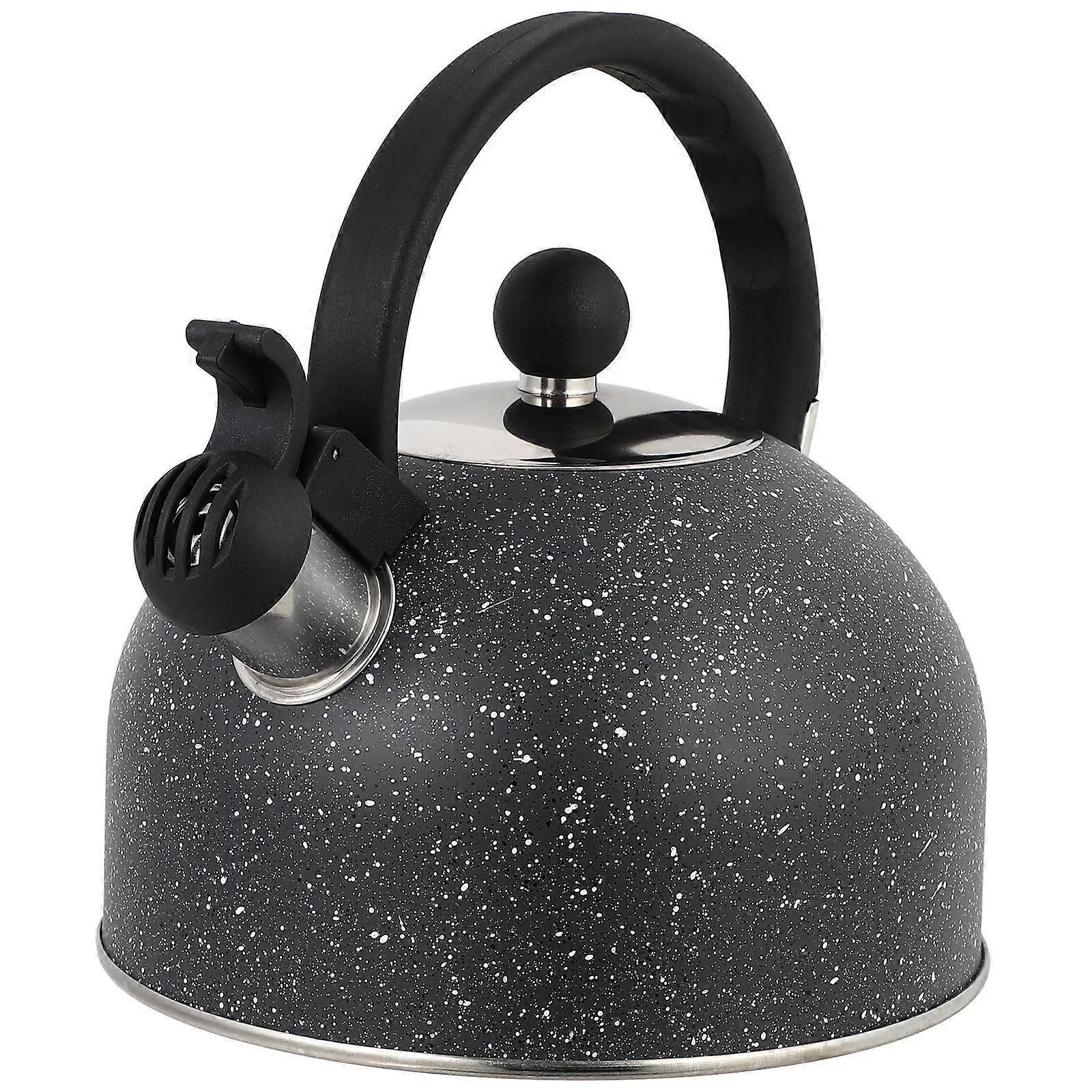 Stainless Steel Teapot Whistling Teakettle Boiling Function 2Pcs Black
