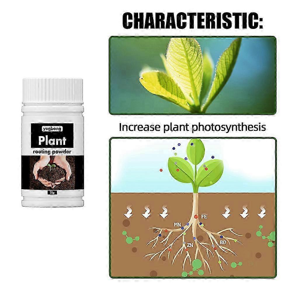 Rotpulver for planter for å skjære vanlige omplantingstrær, næringspulver for frukttrær
