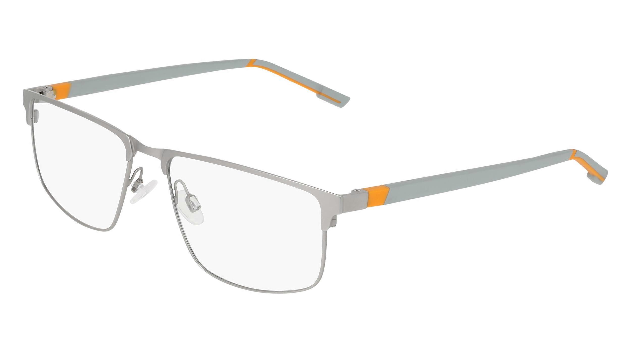 Eyewear Frames FLEXON FLEXON E1171 040 MATTE SILVER 56/16/140 MALE