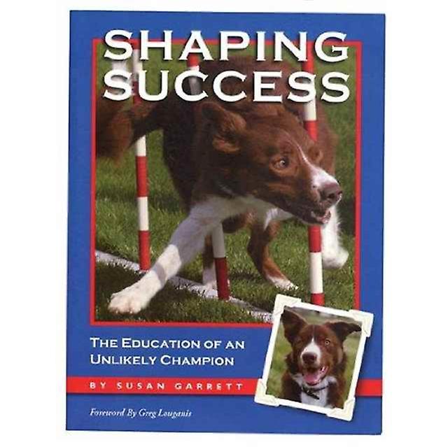 Shaping Success by Susan Garrett Paperback