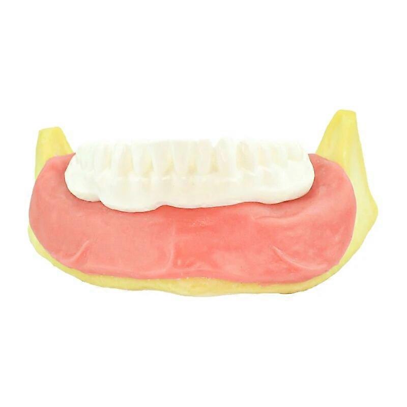 Bionic Foam Toothless Mandibular and Shell Teeth Model for Denture Learning Tool for Dentistry Students