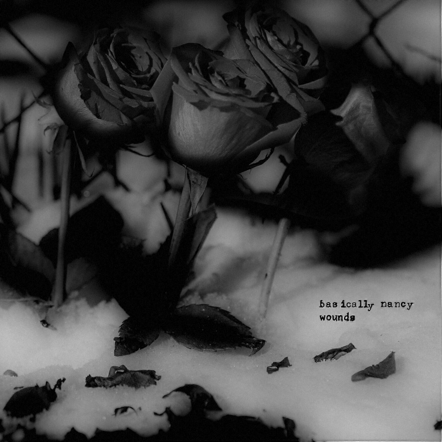 Basically Nancy - Wounds  [VINYL LP] USA import