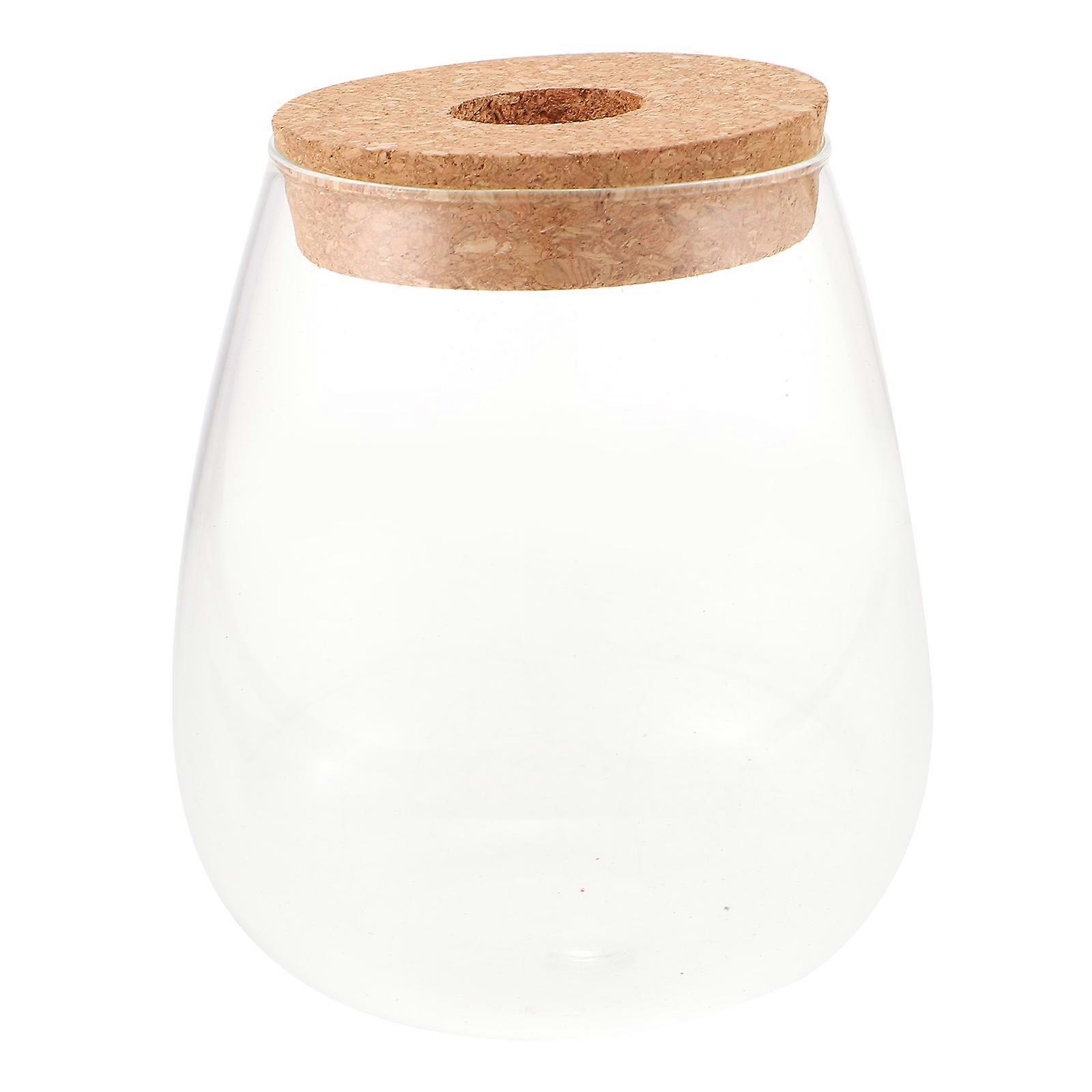 Szklane pojemniki do terrarium kwiatowego na rośliny hydroponiczne Style Caf茅 Decor 1Pack