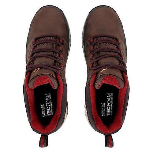 Regatta Womens/Ladies Blake Low Walking Shoes