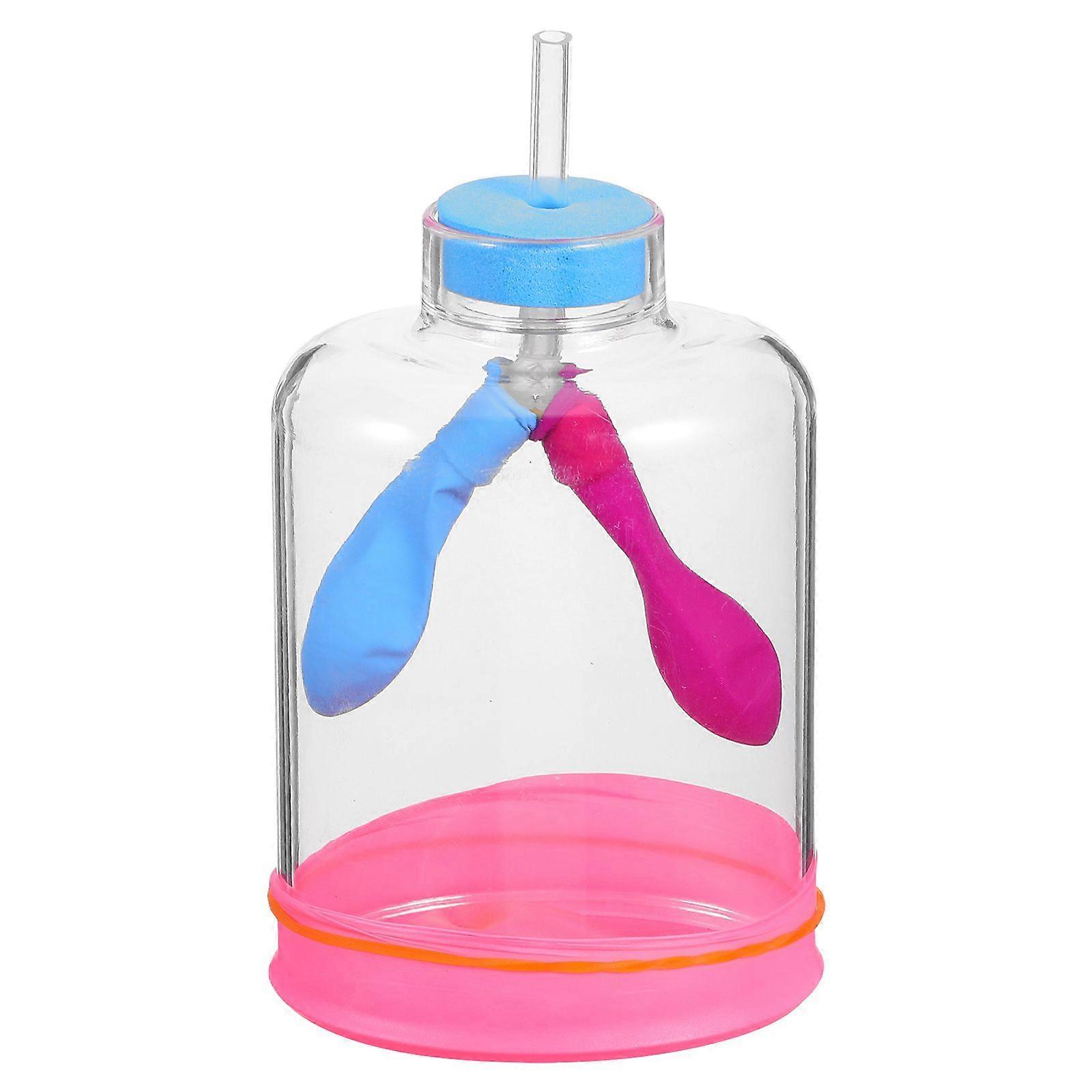 1 Set Lung Breathing Model: Science Experiment Model for Teaching to Simulate Realistic Respiratory Process - High School Physics Medical Education Su