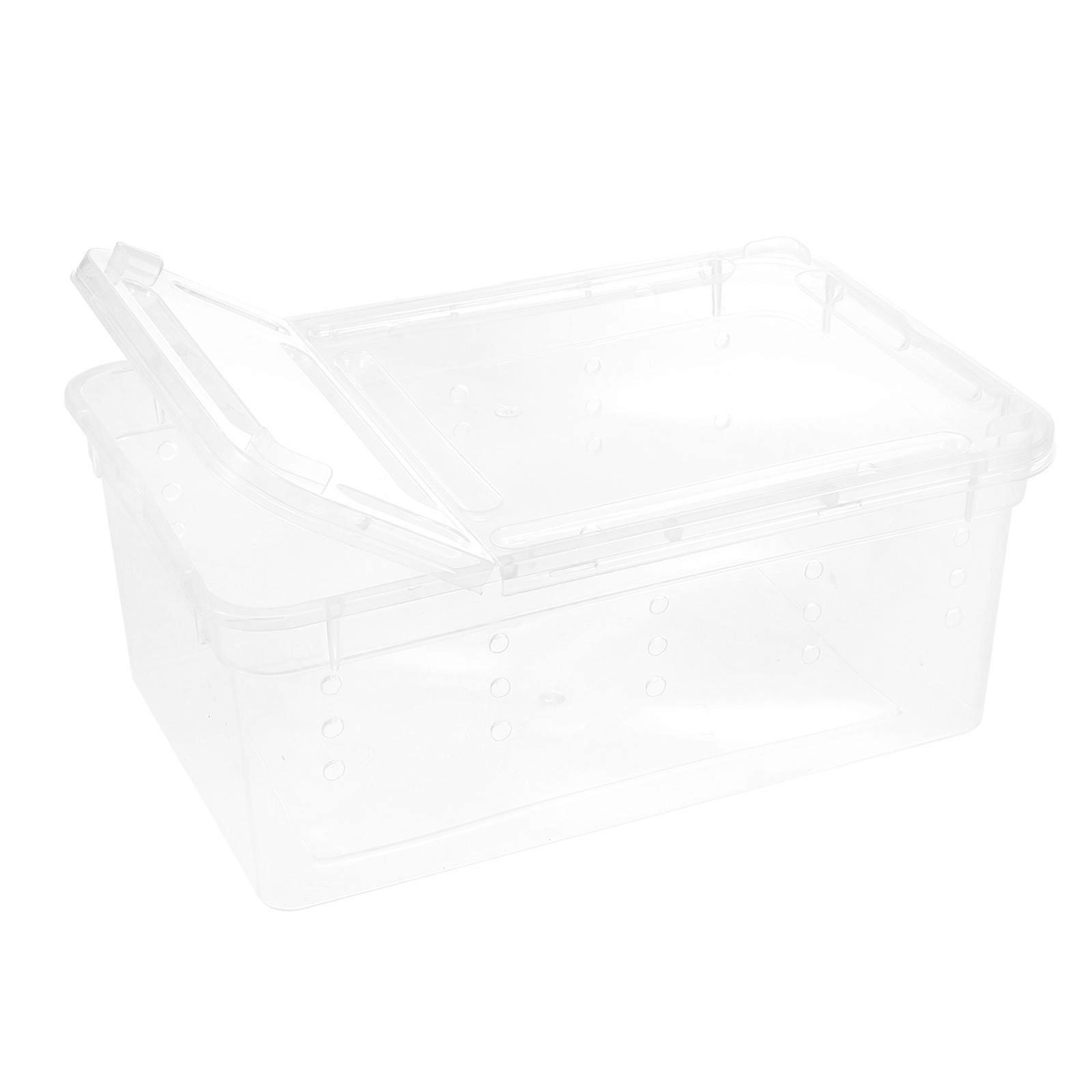 Insect Feeding Box for Spiders Lizard Scorpion Gecko Beetle 1Pcs