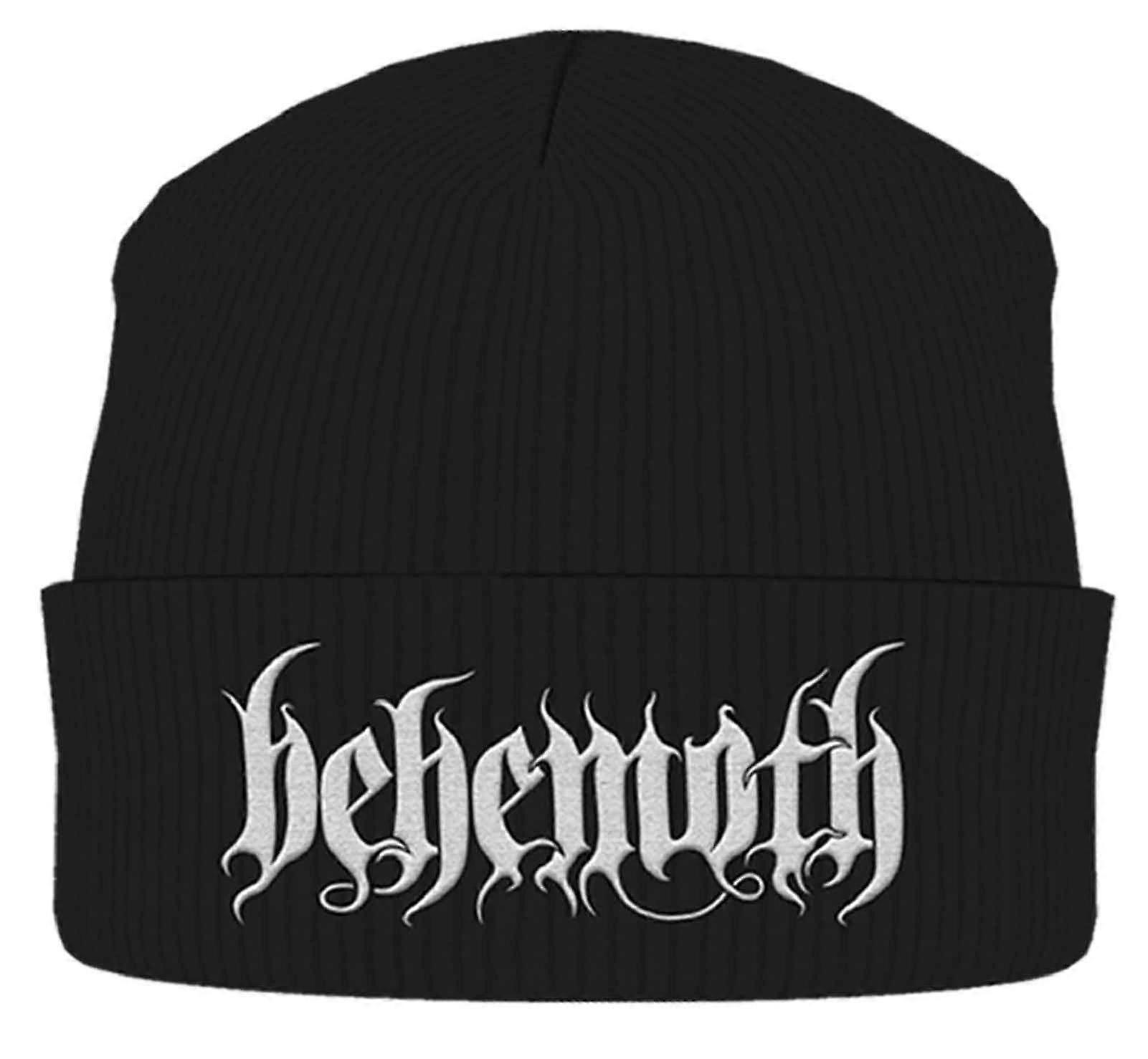 Rainbow classic Band Logo Beanie Hat