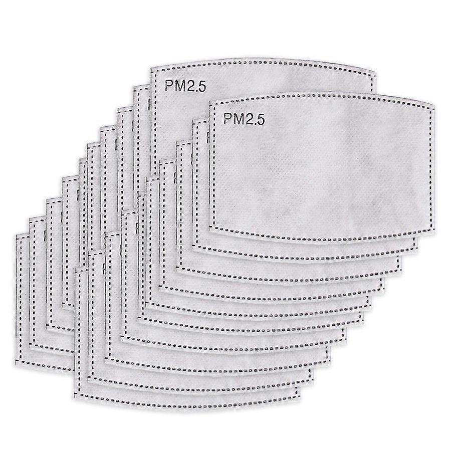 Fourth Element Pm2.5 Removable Filter 20 Pack