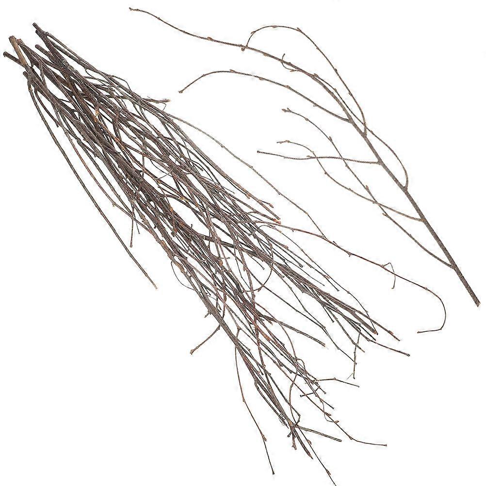 Tall Birch Branches Dried Tree Branches DIY Flower Arrangement Party Decoration 12Pack