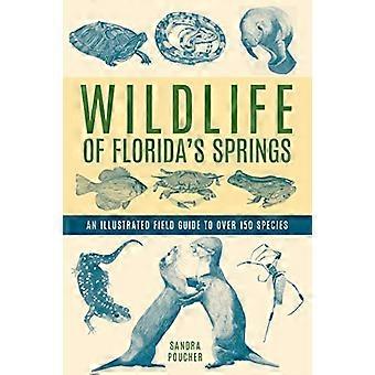 Wildlife of Florida's Springs: een geïllustreerde veldgids voor meer dan 150 soorten